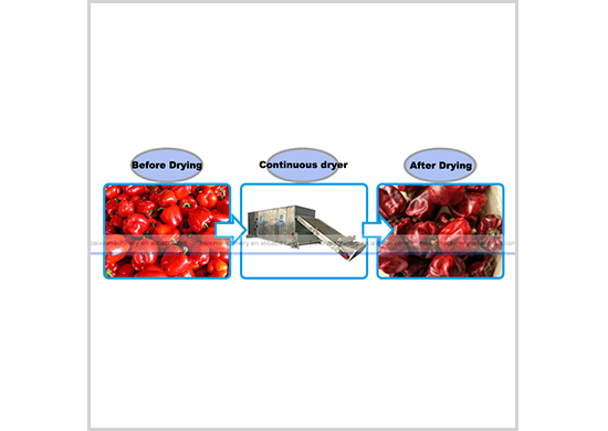 Pepper drying machine